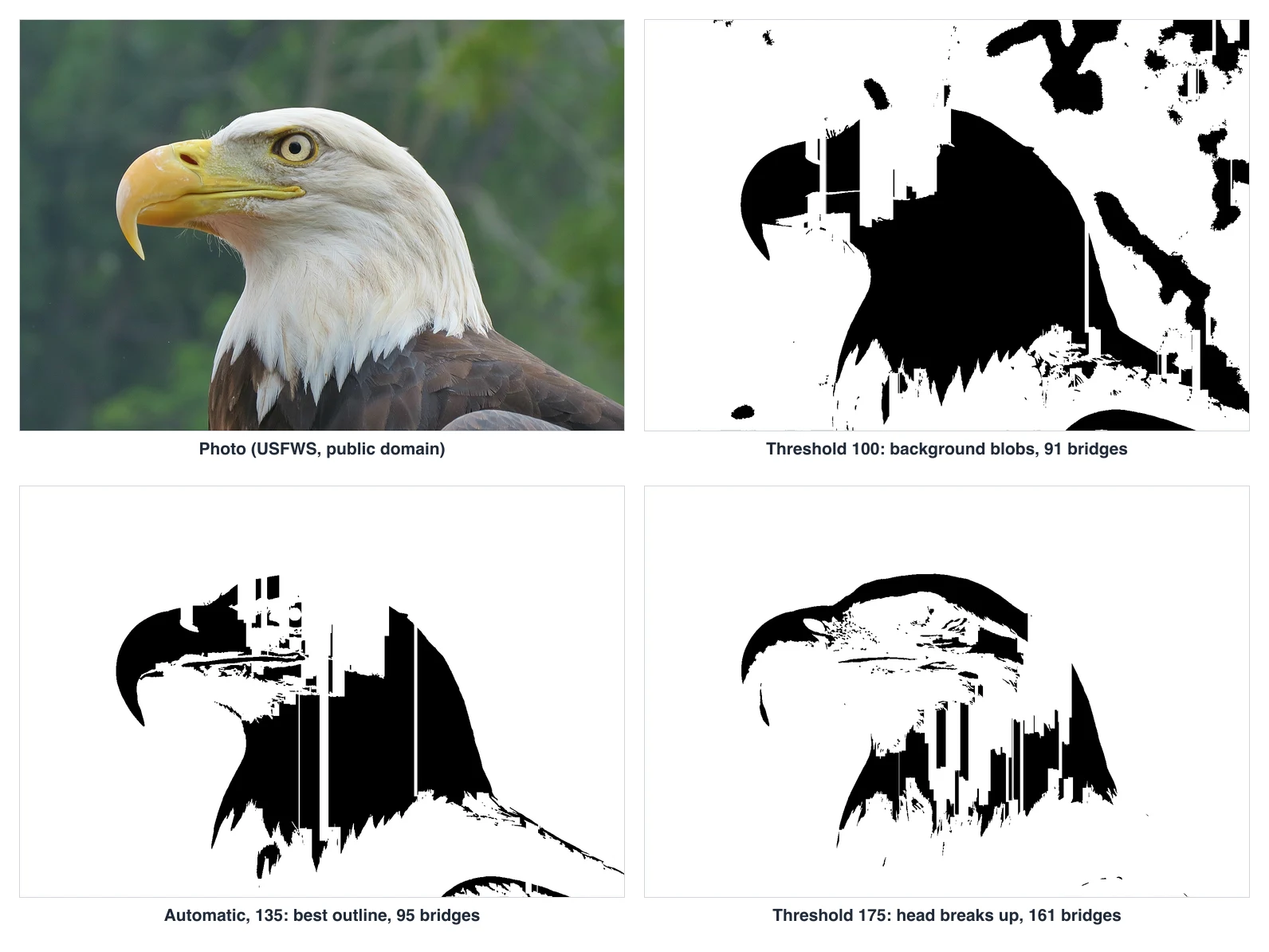 Four panels: an eagle photo, then its stencil at threshold 100, 135 and 175